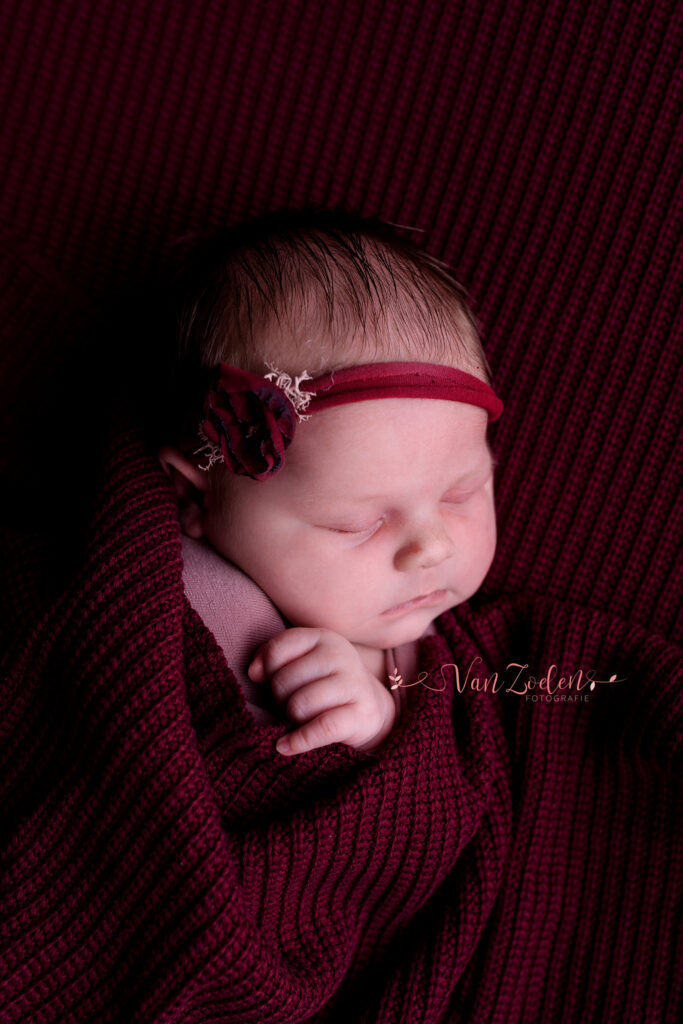 newborn - van zoelen fotografie