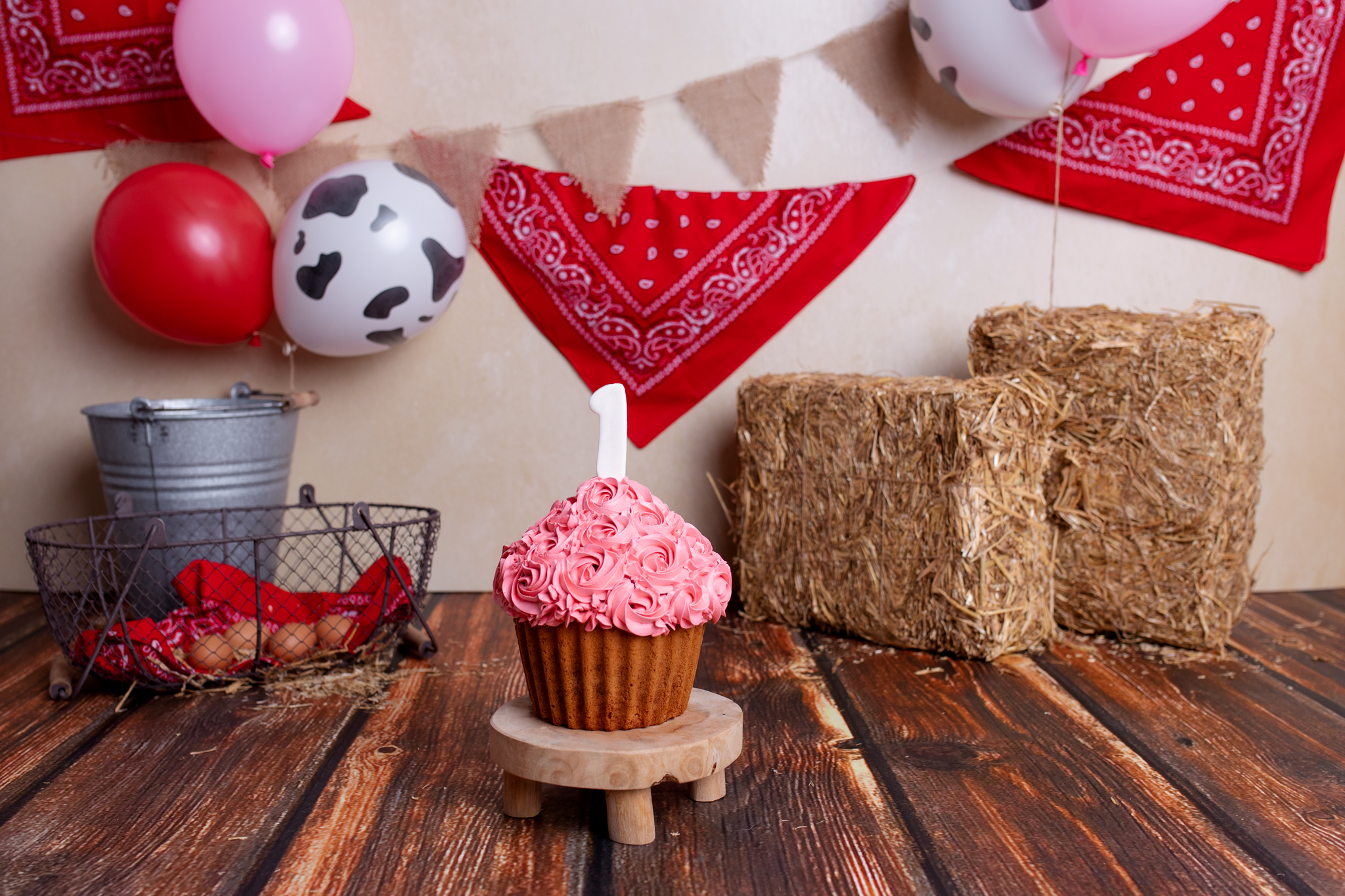 Smash Taart - cakesmash - Van Zoelen Fotografie