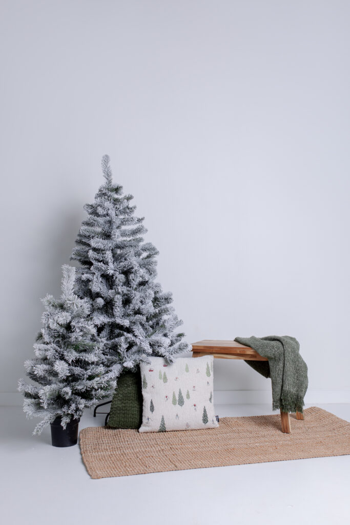 Kerst shoots - van zoelen fotografie